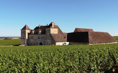 Frankreich – Nr. 1 im Weinanbau
