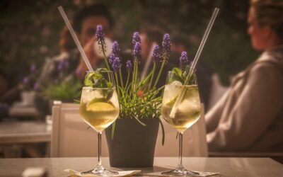 Weinschorle richtig gemacht – die besten Weine für erfrischenden Sommergenuss