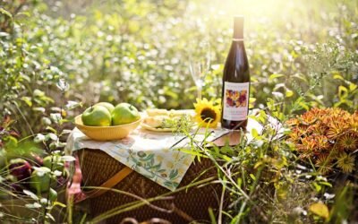 Wein zum Picknick – die besten Begleiter für unterwegs