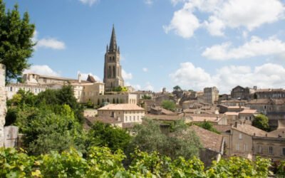 Wieso ist Frankreich das Mutterland des Weines?