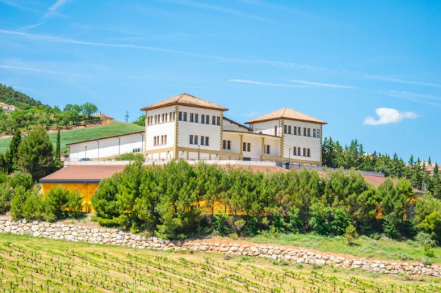 nekeas-navarra-spanien-wein-olivenöl