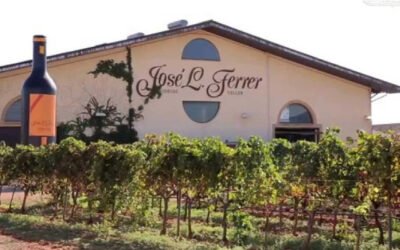 Weingut Jose Luis Ferrer