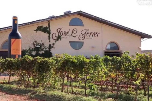 Weingut Jose Luis Ferrer