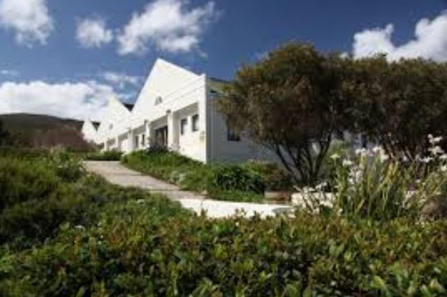 whalehaven-hemel-suedafrika-wein