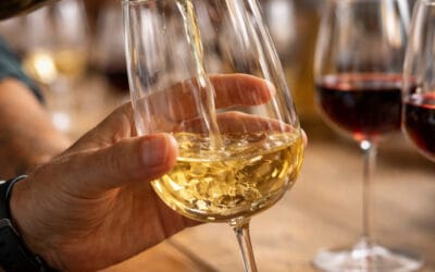 Unser Auswahlprozess bei Weinen
