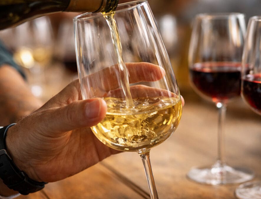 Unser Auswahlprozess bei Weinen