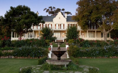 Weingut De Grendel aus Südafrika