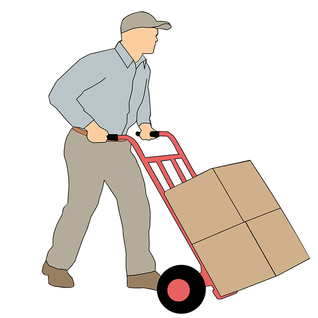 mohamed_hassan-shipping-2791948_640