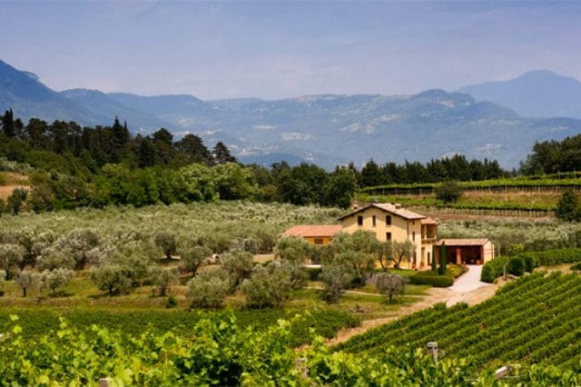 Azienda Agricola Brunello: Traditionelle Winzerkunst vom Gardasee bei Weinhaus Venum