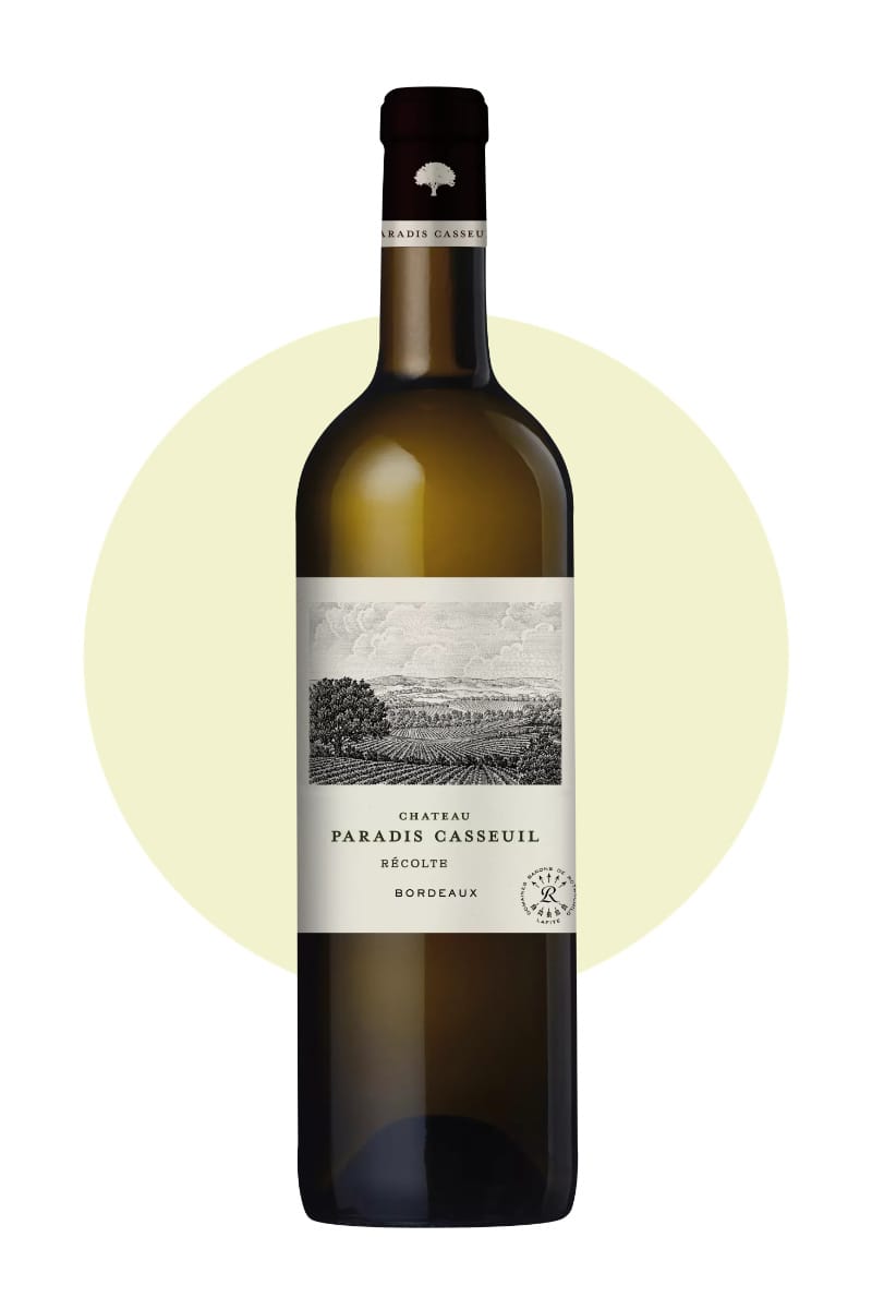 Chateau-Paradis-Casseuil-Blanc-2024-Weisswein-Bordeaux-Frankreich-Flasche