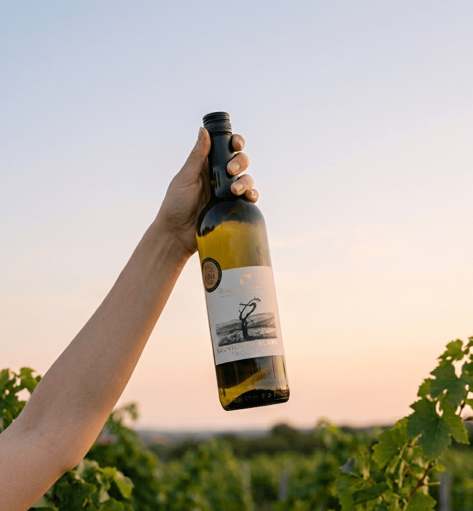 Sauvignon Blanc Pfalz in der Hand - Individuell gebrandeter Hauswein