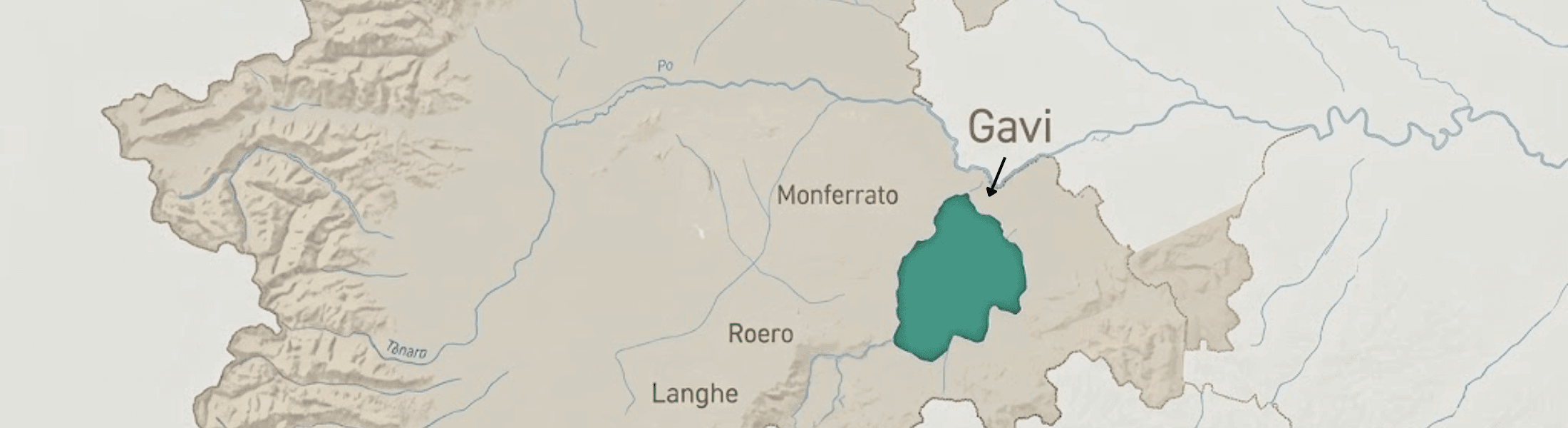 gavi di gavi - weißwein - wein online kaufen - piemont - italien - roberto sarotto