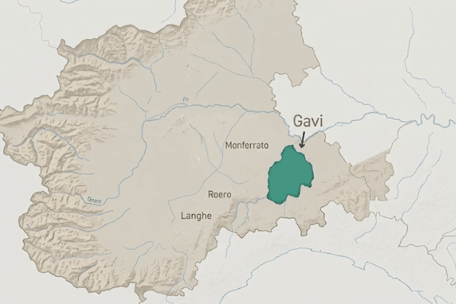 Gavi di Gavi: Alles über Geschmack, Cortese-Traube & Speisen