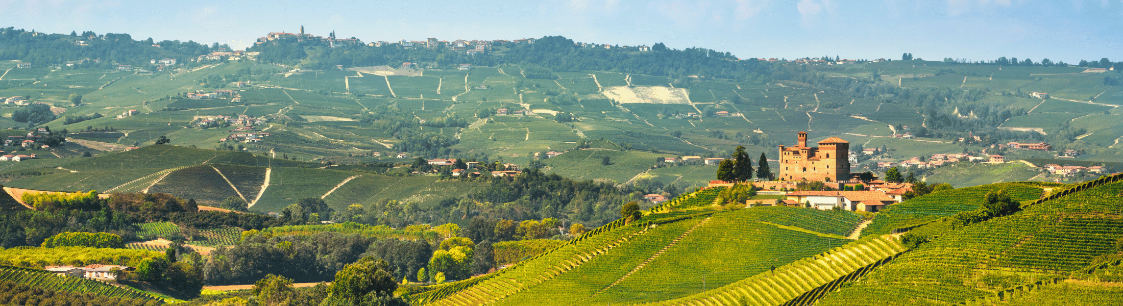 Piemont Wein Mobil Bild alles zum piemont-weine online kaufen-italien-roberto sarotto